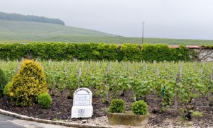 Clos-Notre-Dame(1)