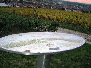 duval-leroy-clos-des-bouveries-vertus