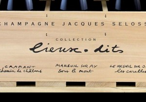 lieux-dits-jacques-selosse-th